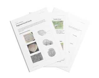Sample pages from PhD Science Student Science Packs