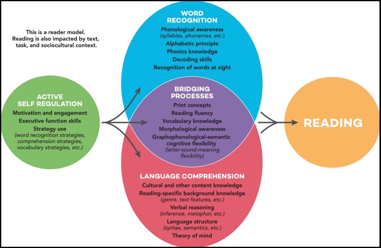 WW Active View of Reading Model