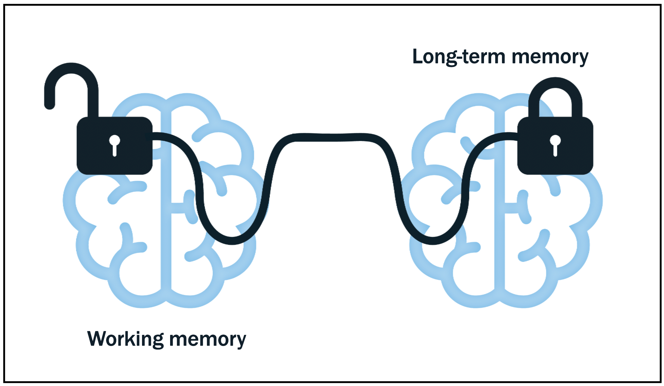 WW Science of Reading Long-term Memory