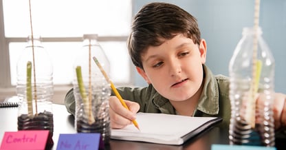 Evaluating Curriculum Options for Science Evaluating Curriculum Options for Science