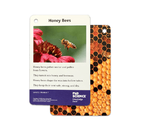 Example of a PhD Science Knowledge Deck Card that comes from Level 2 Module 1 on Honey Bees