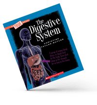 TheDigestiveSystem-CTaylor