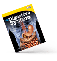 TheDigestiveSystem-JPrior