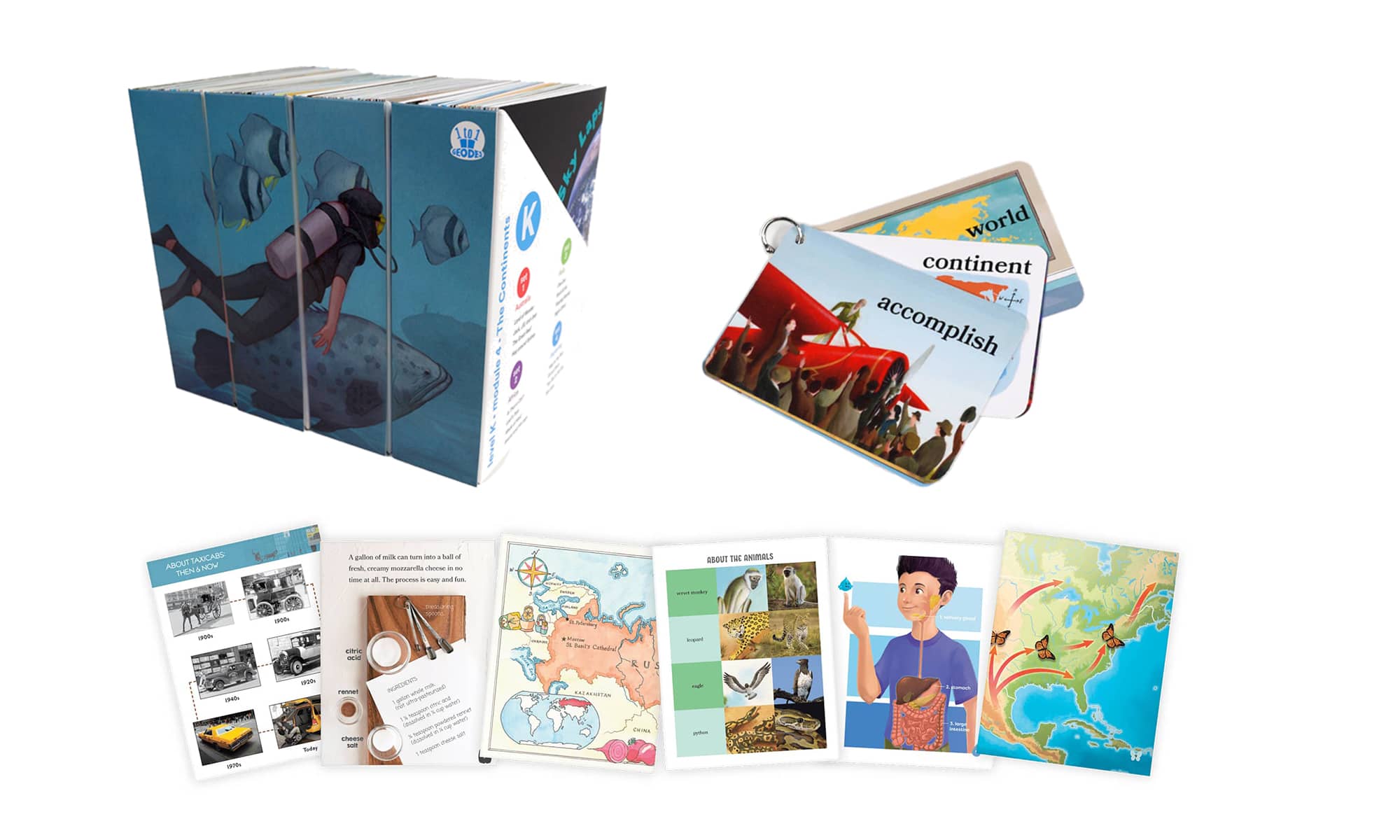 Geodes 1 to 1 set with display boxes, cards, and books