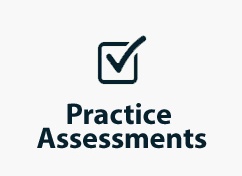 Practice Assessment Icons